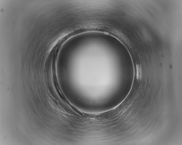 X0000070880723200606191314