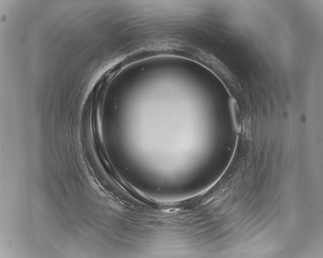 X0000070880724200606191314