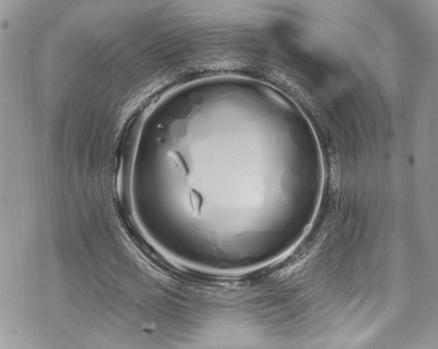 X0000070880725200606191314