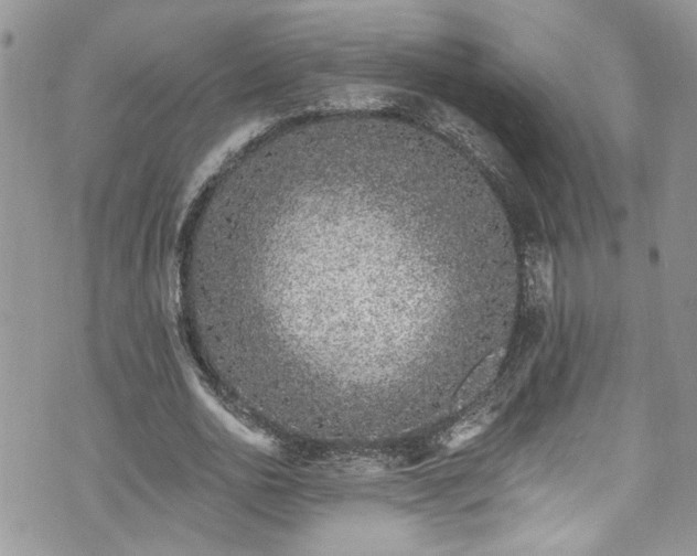 X0000070880726200606191314