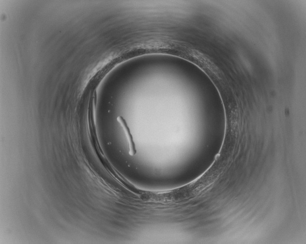 X0000070880727200606191314