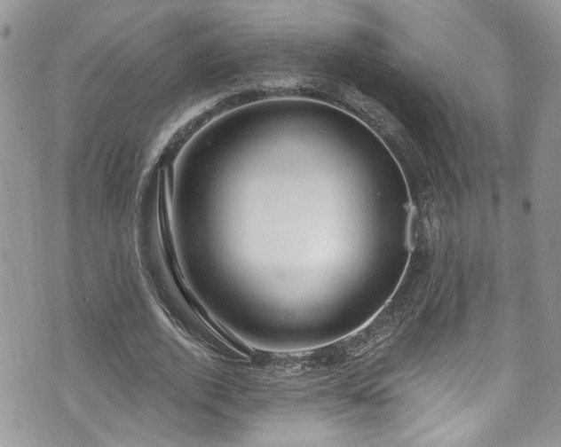 X0000070880728200606191314