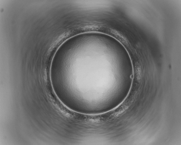 X0000070880729200606191314