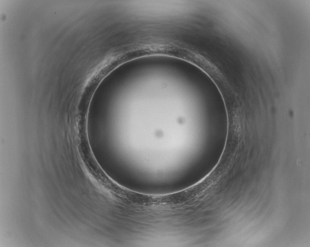 X0000070880730200606191314