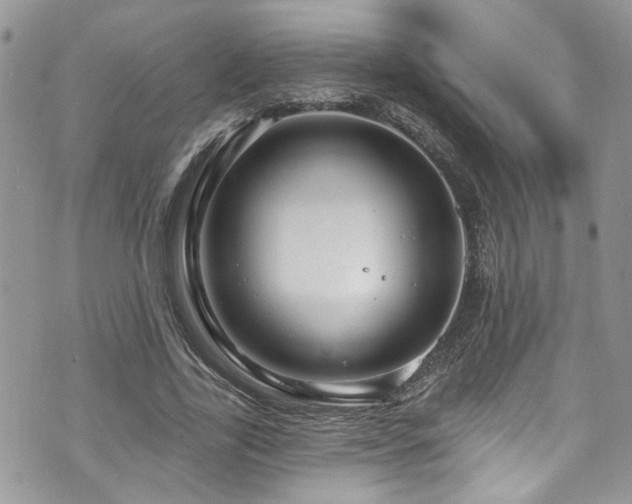 X0000070880731200606191314