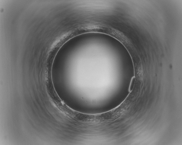 X0000070880732200606191314