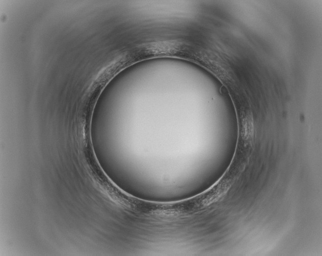 X0000070880733200606191314