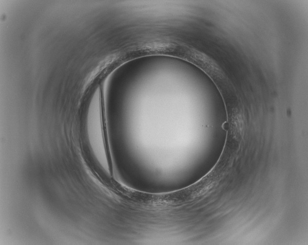 X0000070880734200606191314