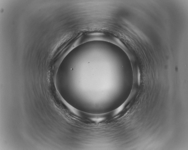 X0000070880735200606191314