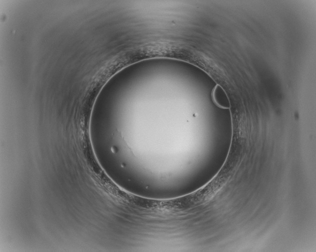 X0000070880737200606191314