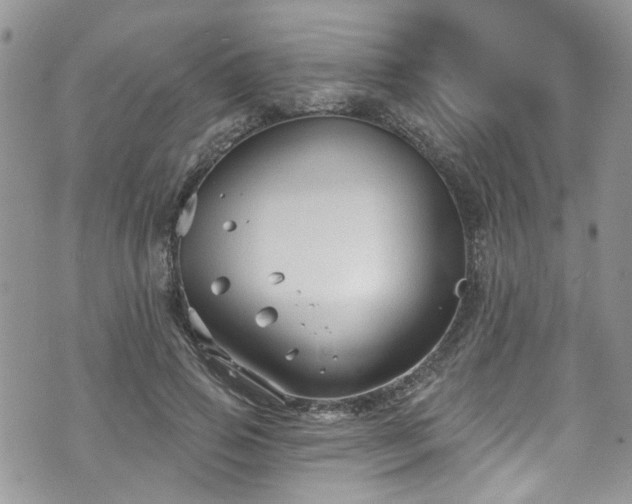 X0000070880741200606191314