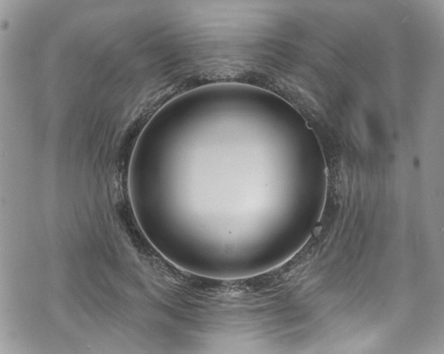 X0000070880743200606191315