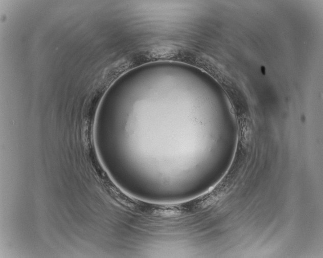 X0000070880745200606191315