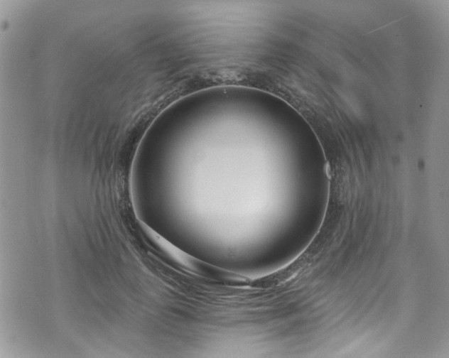 X0000070880747200606191315