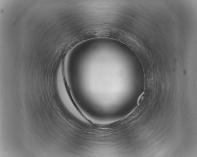 X0000070880748200606191315