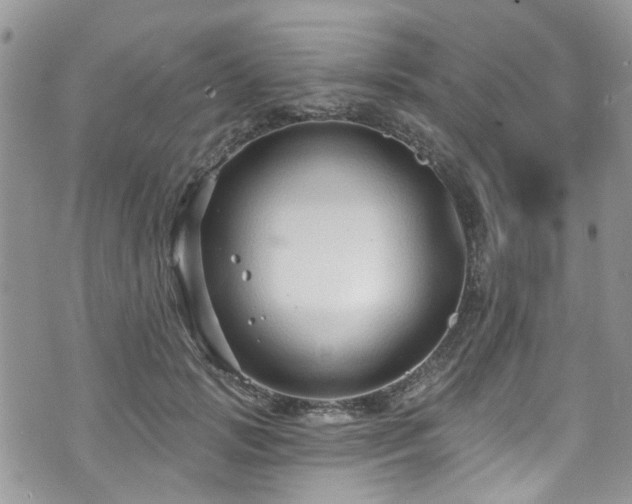 X0000070880749200606191315