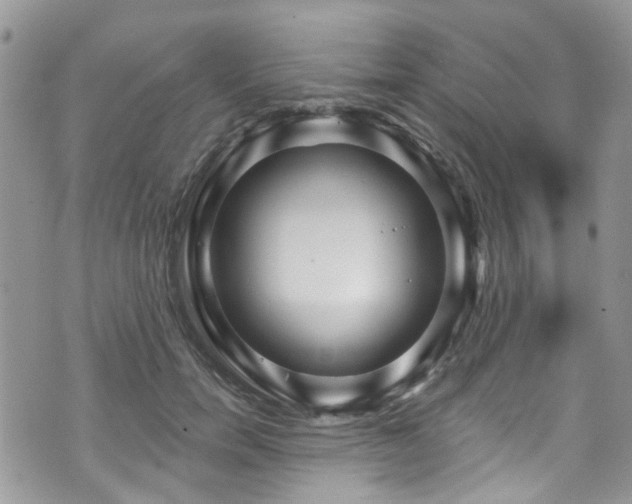 X0000070880750200606191315