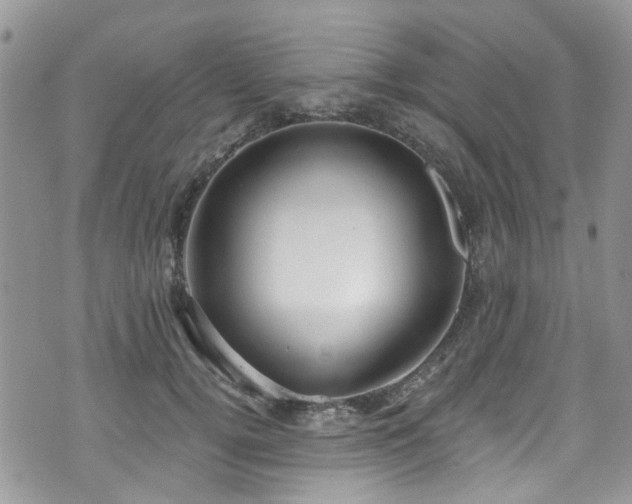 X0000070880752200606191315