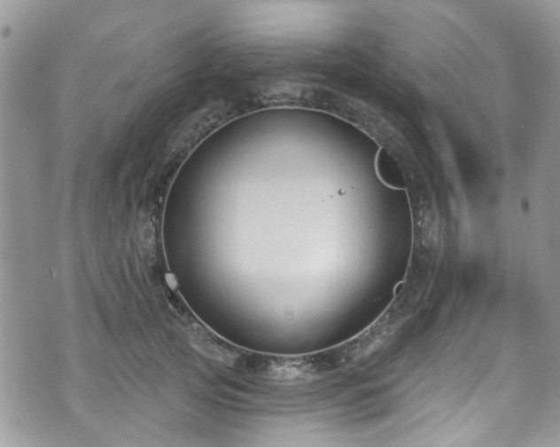 X0000070880753200606191315