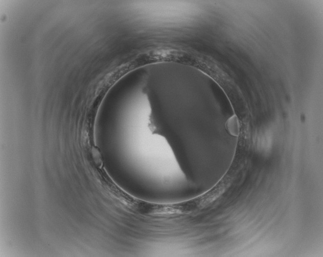 X0000070880754200606191315