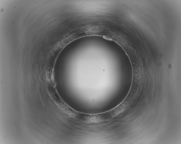 X0000070880755200606191315