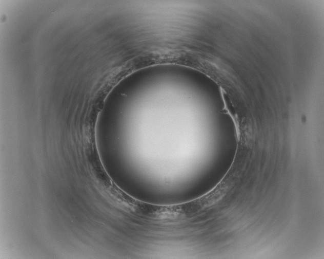 X0000070880756200606191315