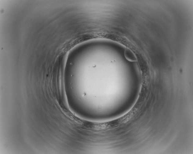 X0000070880757200606191315