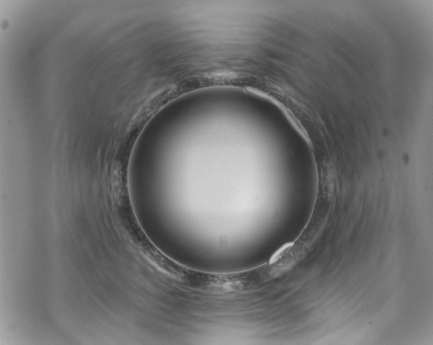 X0000070880760200606191315