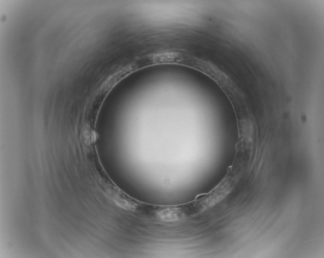 X0000070880761200606191315