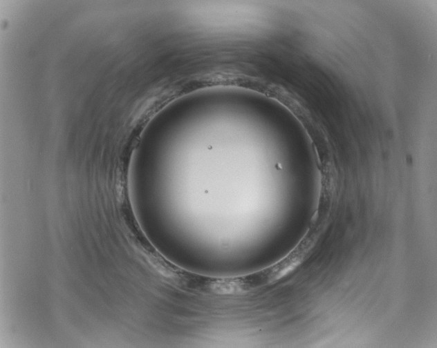 X0000070880762200606191315