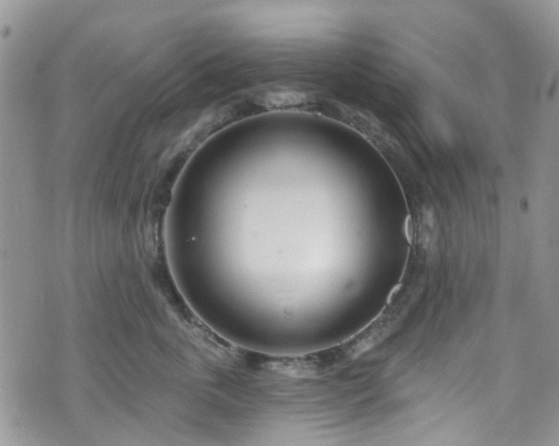 X0000070880763200606191315