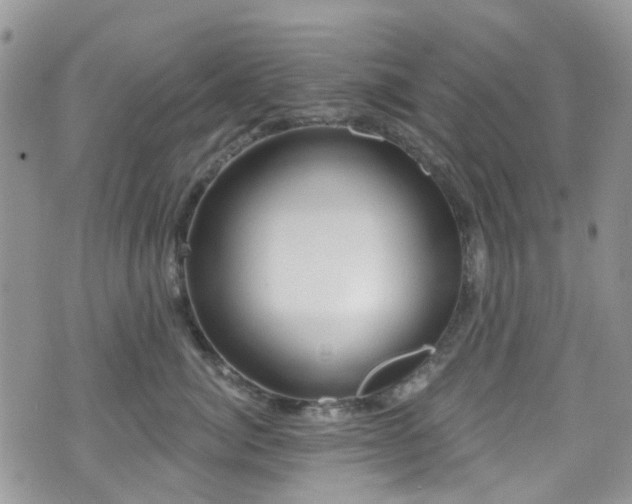 X0000070880764200606191315