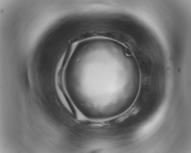 X0000070880765200606191315