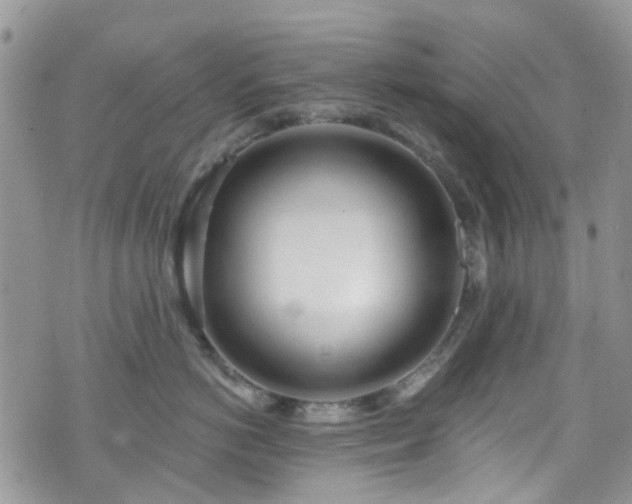 X0000070880766200606191315