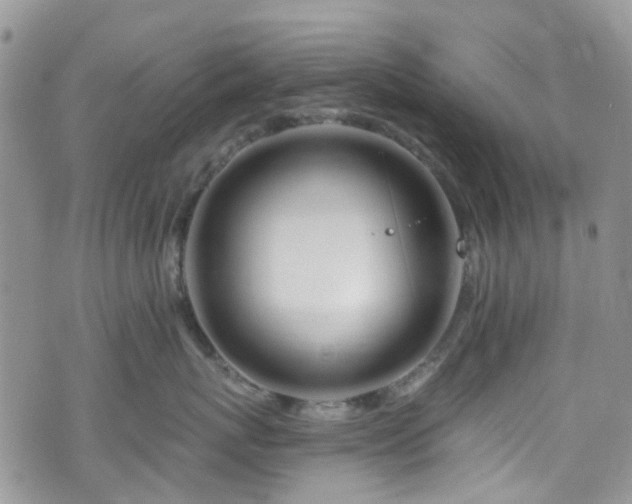 X0000070880767200606191315