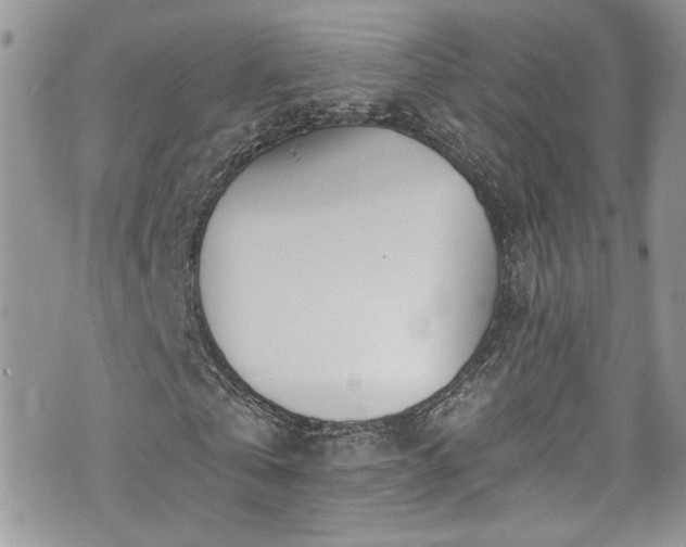 X0000070880769200606191314