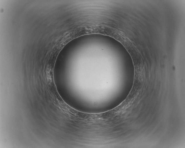 X0000070880770200606191314