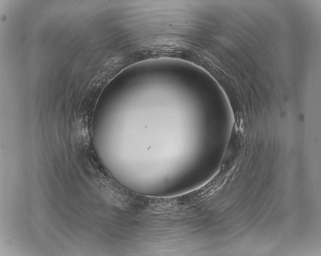 X0000070880771200606191314