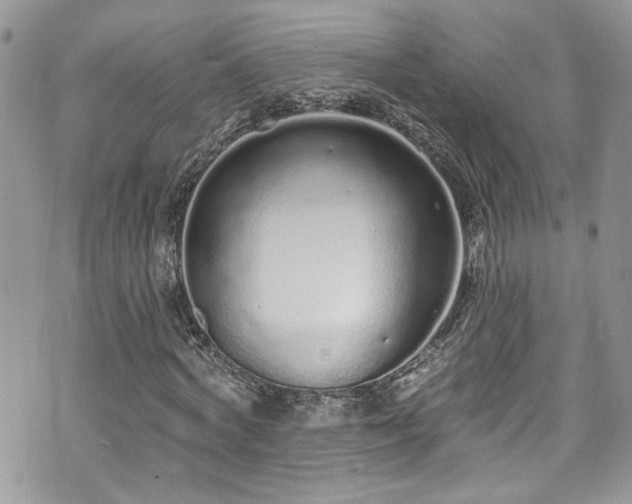 X0000070880772200606191314