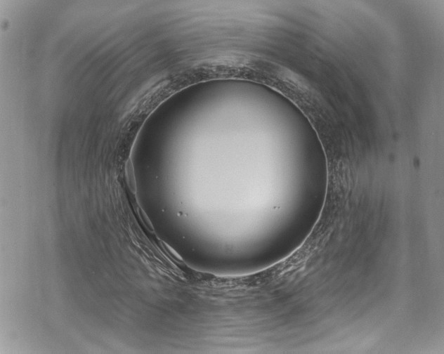 X0000070880774200606191314