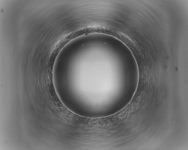 X0000070880776200606191314