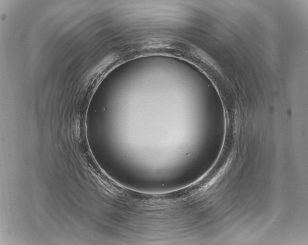 X0000070880777200606191314