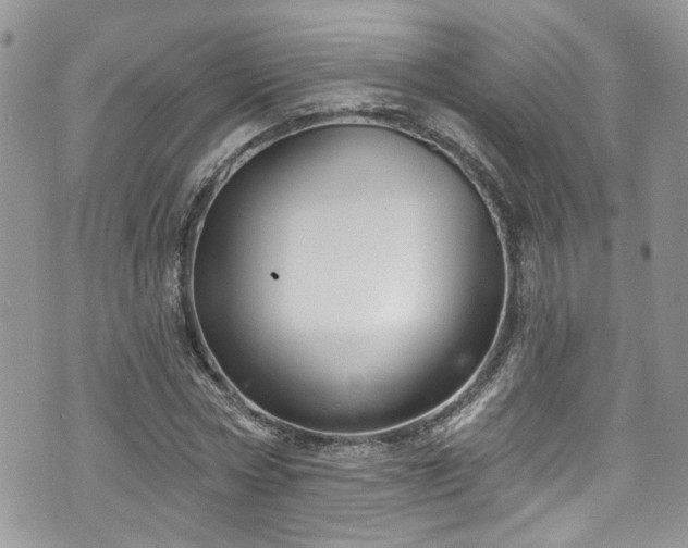 X0000070880778200606191314