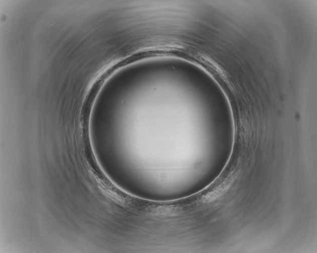 X0000070880779200606191314