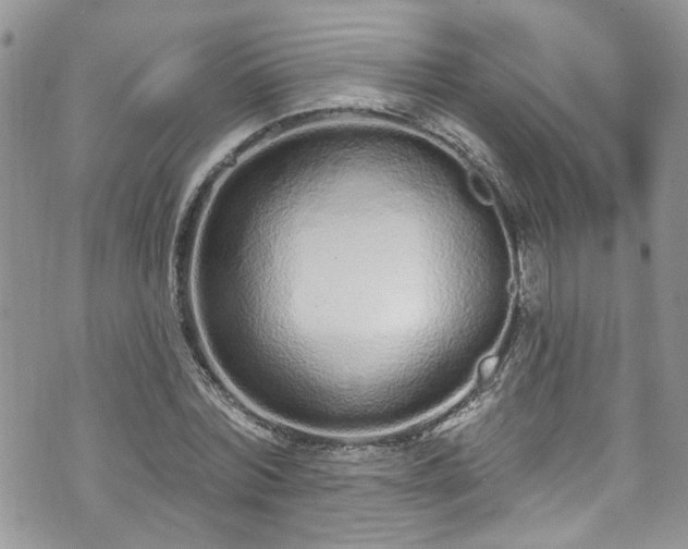 X0000070880780200606191314