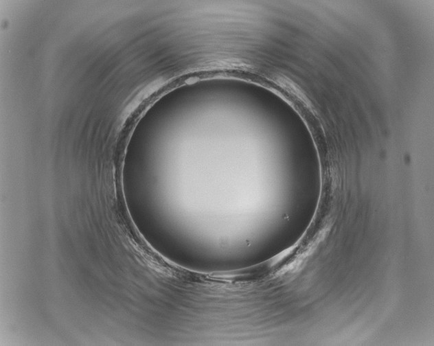 X0000070880781200606191314