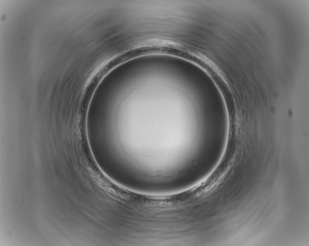 X0000070880783200606191314