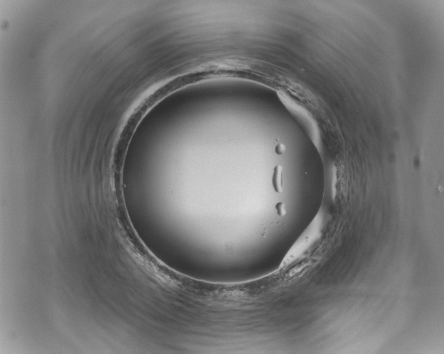 X0000070880784200606191314