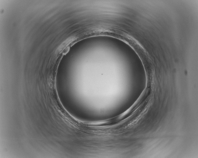 X0000070880785200606191314