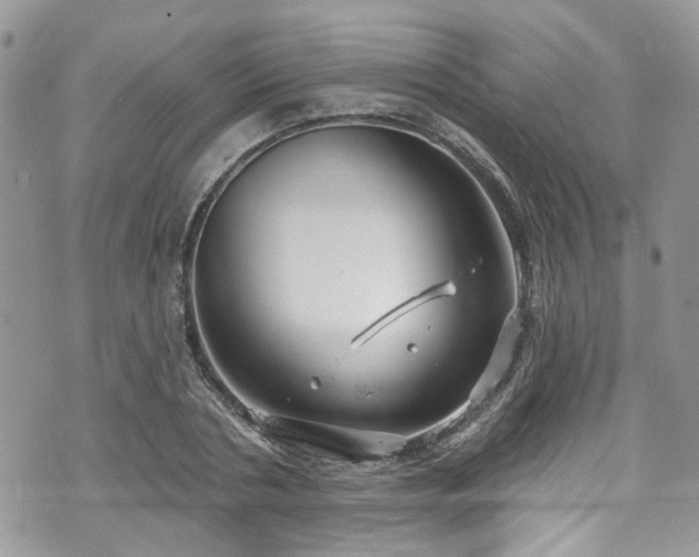 X0000070880786200606191314